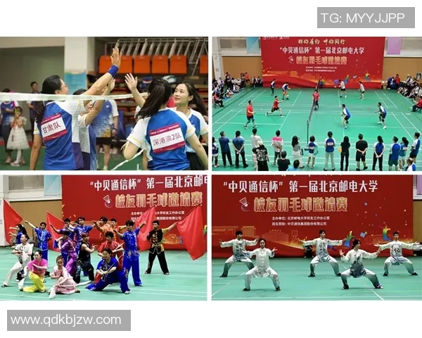 杭州羽毛球队逆袭联合会杯的辉煌之路与背后故事揭秘